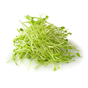 白色背景上孤立的新鲜雪豆芽蔬菜美食图友营养绿色食物发芽生活植物花园背景图片