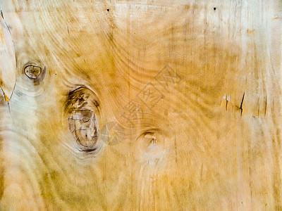 复古木表面的细节有软硬和损坏框架桌子木地板气质橡木木工风格粮食木材松树背景