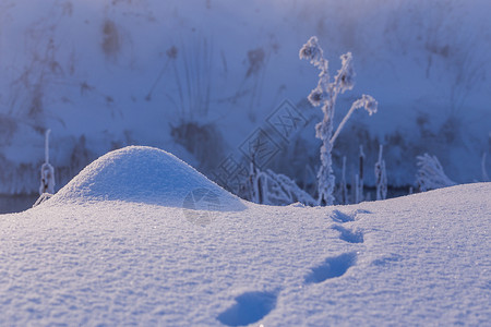 撞上行人小雪山丘 附近有小的野生动物足迹 有选择性地聚焦 白天模糊背景