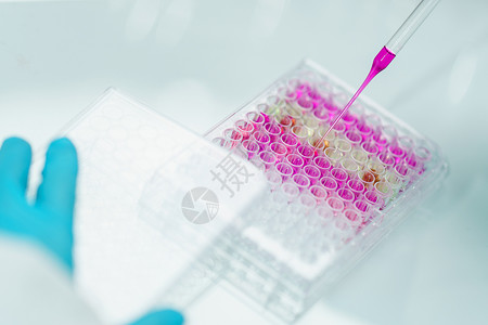 实验室中带有生物管的科学家 用于分析和S类分析测试手套化学药品生物学科学样品化学品生物管子背景图片