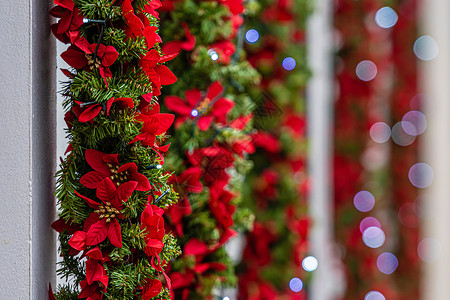 红色小花花环大楼正面的圣诞灯饰和装饰品风格背景街道季节窗户建筑城市松树装饰庆典背景