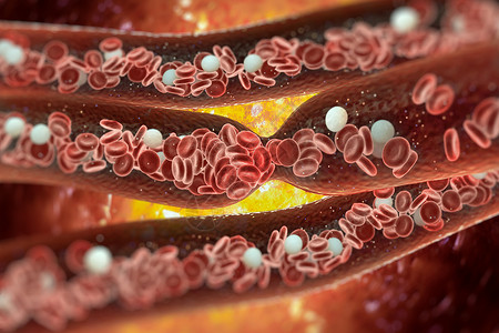 静脉血块溪流小血管高清图片