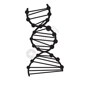 染色体图标白色背景上的 dna 图标  dna 标志 平面样式  dna 图标 fo艺术生活网络按钮螺旋插图圆形医疗生物学基因背景