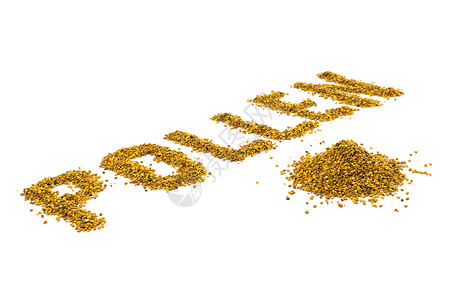白种背景上黄花粉颗粒的花粉字 以对角角度香料饮食字体橙子动机蜜蜂治愈蜂蜜粮食食物背景