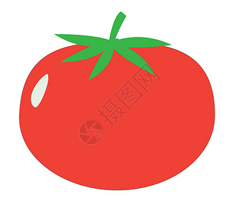 西红柿图标番茄标志 白色背景上的番茄图标 扁平化设计卡通片网络水果食物插图植物纤维绘画生态饮食背景