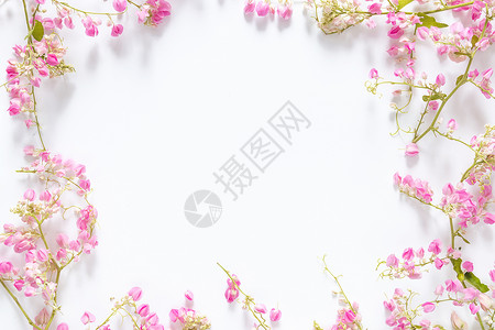 方形彩带边框方形边框框架与粉红色的花枝和叶子隔离在白色背景与复制空间 平面布局背景