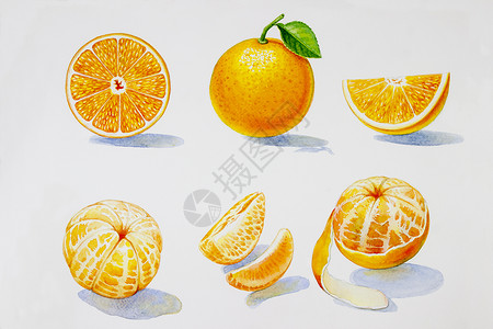 卡通手绘水果装饰绘画夏季橙色收藏享受三角形纹理水彩手绘柠檬明信片横幅插图背景