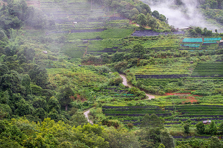 泰国清迈Fang区山顶上方的泰国清迈人农地景观 6月20日看法高清图片素材