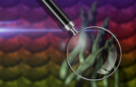 病毒和细菌医疗卫生疾病细胞插图癌症保健微生物宏观放大镜背景图片