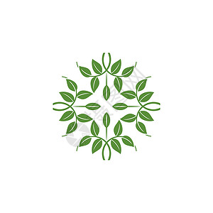 绿叶装饰图案观赏绿叶标志模板插图设计 矢量 EPS 10花园艺术叶子技术装饰品工作室办公室互联网商业植物背景