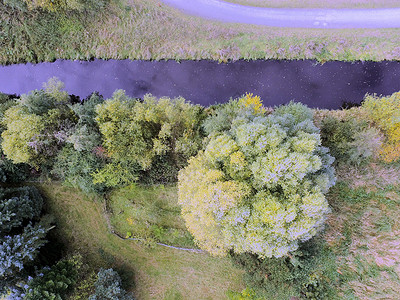 灌满水的沟渠 在草地上充满水 树木 抽象如b鸟瞰图高度小路途径地面栽培航班土地乡村农业背景图片