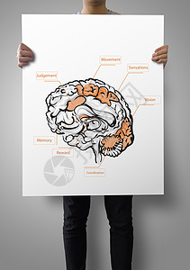 大脑海报将手拔大脑的海报作为医学概念展示的人背景