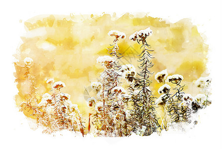 春花图像 水彩色和照片混合介质绘画水彩背景图片