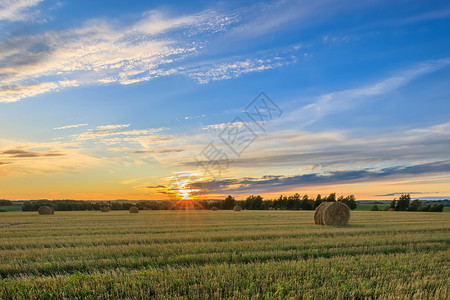 秋天的秋季赛季上场打猎小麦地平线干草蓝色粮食场地天空收成稻草收获背景