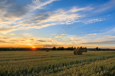 秋天的秋季赛季上场打猎干草收成稻草小麦土地天空风景日出场地粮食背景