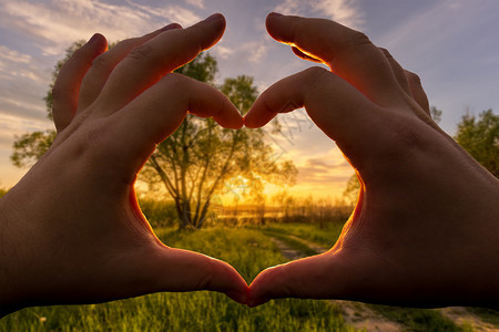 在夏日与日落或日出 以树和草为敌时 双手在心脏的形状下背景图片