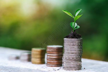 硬币堆积的植物生长 增加投资银行业财富基金环境贷款种子银行商业金融现金市场高清图片素材
