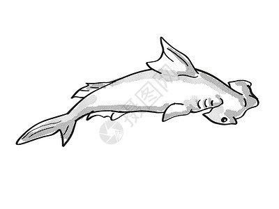 卡通长尾鲨红外濒危野生生物卡通单线绘图背景
