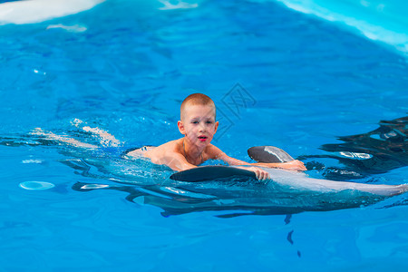 看鲸小男孩快乐的小男孩与海豚在海豚馆游泳假期动物喜悦野生动物微笑水池朋友疗法吸引力潜水背景