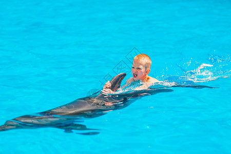 看鲸小男孩快乐的小男孩与海豚在海豚馆游泳孩子拥抱荒野水池宠物治疗朋友疗法海洋哺乳动物背景