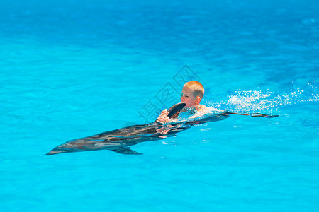 看鲸小男孩快乐的小男孩与海豚在海豚馆游泳拥抱朋友微笑潜水海洋动物喜悦荒野水池疗法背景