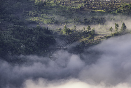 绿色长路素材越南老开的Y Ty镇山谷地球天气高地迷雾道路长路雾天植物森林背景