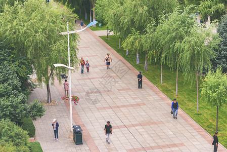 一条行人街道的视图城市树木行人人群绿色公园背景图片