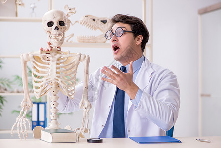 研究人类骨骼的疯狂教授讲师课堂解剖学讨论医师学校医院实习生研究员演讲学生高清图片素材