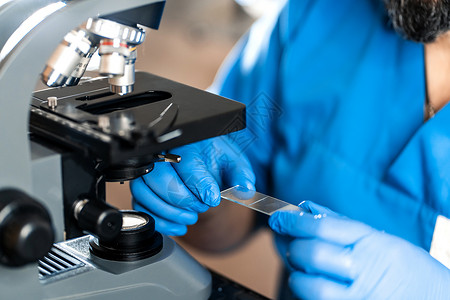男性实验室助理通过显微镜检查生物材料样本 用蓝色橡胶手套调整显微镜拉紧手部的肌肉医院工具微生物学玻璃细菌药品实验技术员男人乐器背景图片