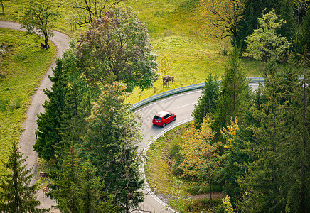 爬坡道在巴伐利亚山的汽车 德国 欧洲沥青路线联盟旅游车辆建筑假期森林风景运输背景