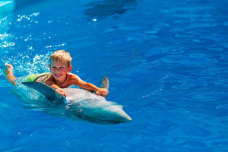 看鲸小男孩快乐的小男孩与海豚在海豚馆游泳水池蓝色喜悦假期潜水动物治疗微笑乐趣野生动物背景