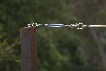 与黑金属杆相连的不锈钢转锁铁镣铐损害蜘蛛网灰色蜘蛛树叶花园白色黑与白帖子绿色背景图片