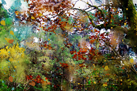 树叶粘贴画秋天树叶多彩 秋季图像艺术水彩叶子绘画季节感恩插图季节性植物黄色背景