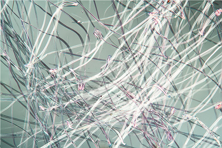 100x 显微镜下的爆光纤维背景图片