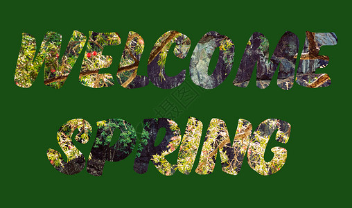 春季招聘字体欢迎来自布斯兰图像的春季短信背景