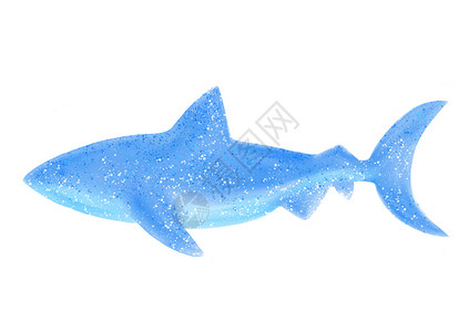 孤立的数码水彩画图 白底大鲨鱼 股面图像背景图片