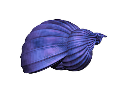 扭曲的彩色螺蜗贝壳旋转骨架住房石灰螺旋蜗牛蜗牛壳背景图片