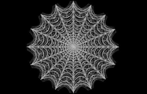 黑色背景的圆蜘蛛网圈蜘蛛蜘蛛丝捕食者厌恶网络织线灰色蜘蛛网线程背景图片