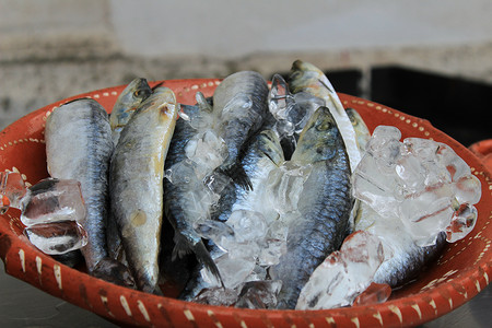 里斯本带冰的沙丁鱼海鲜鳀鱼蓝色团体市场健康餐厅海洋动物食物背景高清图片素材