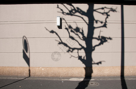 在东京的棕墙上 砍草树和交通标志高清图片