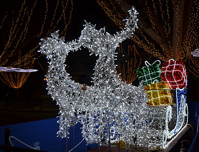 驯鹿装饰圣诞时雪橇上有驯鹿和白灯背景