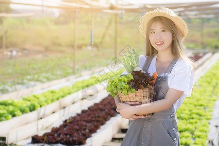 美丽的肖像 年轻的年轻亚洲妇女微笑着收割和采摘u栽培农民环境农业生长蔬菜女性培育温室收成绿橡木高清图片素材