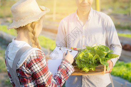 年青的年轻女性女士检查蔬菜有机水栽培农场和生产叶子商业食物农业种植园男人营养环境市场新鲜的高清图片素材