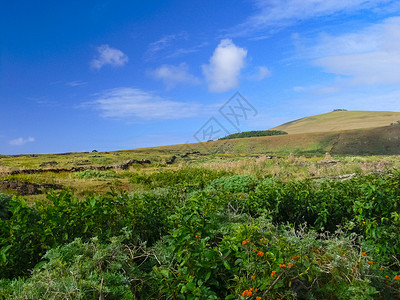 复活节岛 地貌 植被和海岸的自然性质地标天空旅游牧场公园木头假期海景场地情调天堂高清图片素材