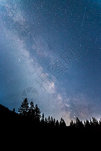 暗夜的银河系 明亮的乳色 树木的光影行星森林夜空天文夜景星光全球照片气氛科学背景图片