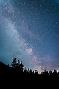 夜森林暗夜的银河系 明亮的乳色 树木的光影夜景星尘天文星星恒星星光摄影森林全球出口背景