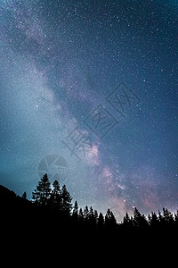 暗夜的银河系 明亮的乳色 树木的光影天堂星云行星史诗星尘森林天文照片宇宙出口背景图片