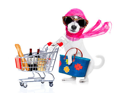 购物大狗折扣小狗商品祖母零售小猎犬购物者主妇购物狂宠物背景图片
