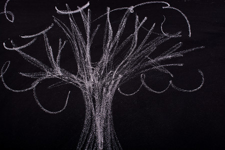 用粉笔在黑板上手绘树环境假期白色草图卡片孩子们绿色创造力绘画松树背景图片