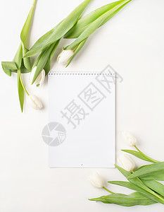 白背景上有白色郁金花的空白日历顶部视图嘲笑笔记桌面小样办公室打印组织时间花朵桌子背景图片